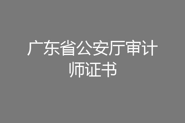 广东省公安厅审计师证书