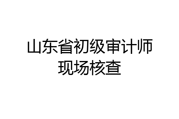 山东省初级审计师现场核查