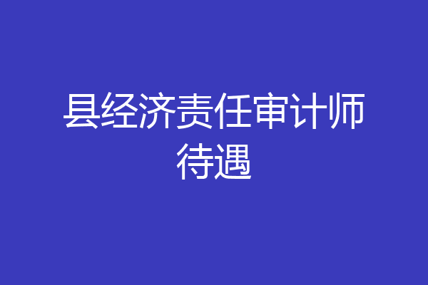 县经济责任审计师待遇