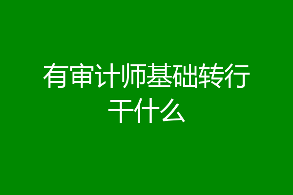 有审计师基础转行干什么