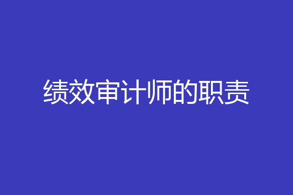 绩效审计师的职责