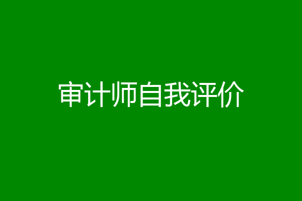 审计师自我评价