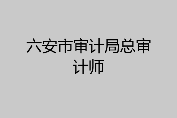 六安市审计局总审计师