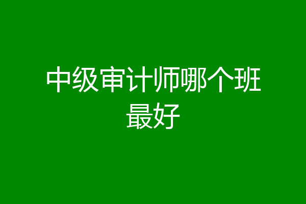中级审计师哪个班最好