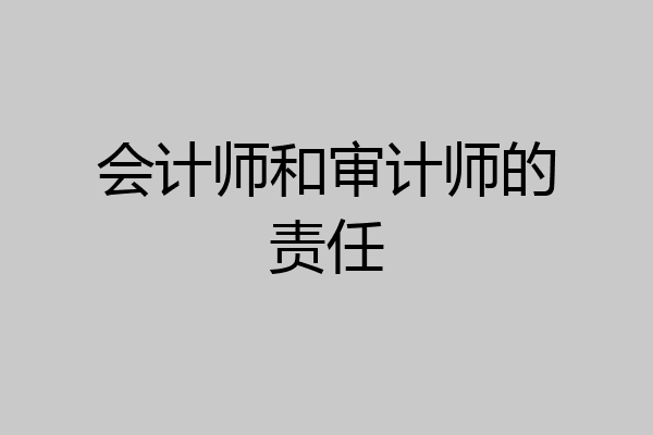 会计师和审计师的责任