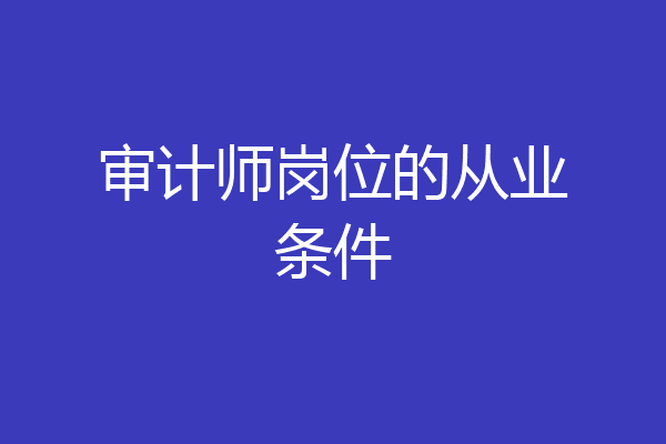 审计师岗位的从业条件