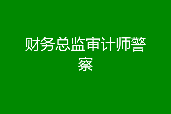 财务总监审计师警察