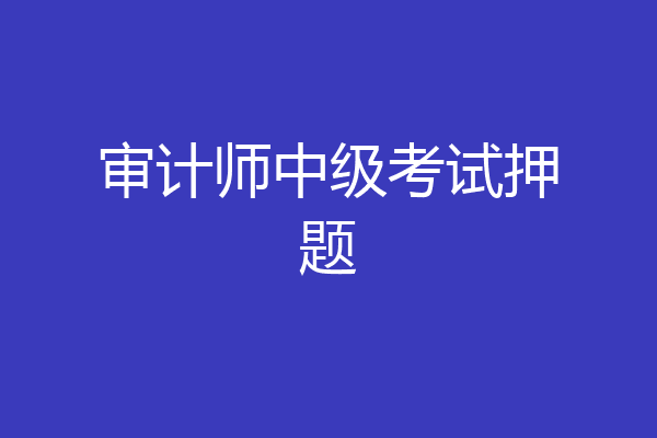 审计师中级考试押题