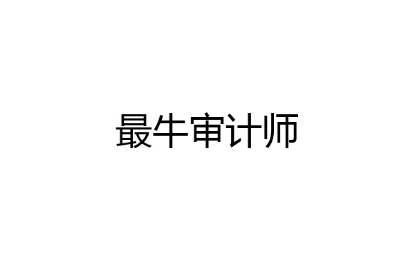 最牛审计师