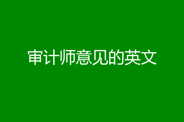 审计师意见的英文