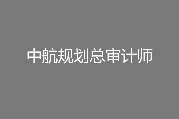 中航规划总审计师