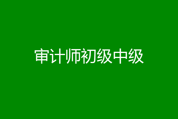 审计师初级中级