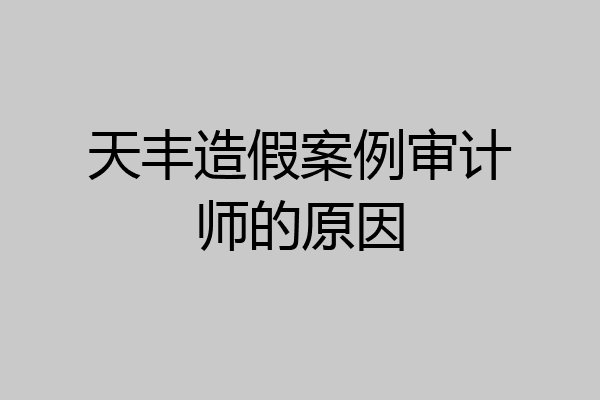天丰造假案例审计师的原因