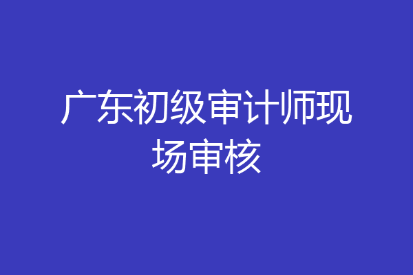 广东初级审计师现场审核