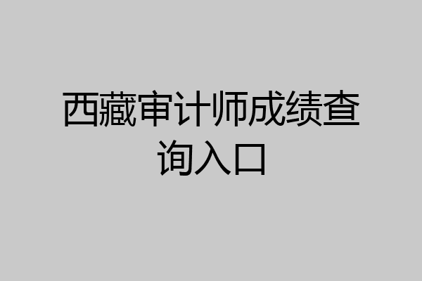 西藏审计师成绩查询入口