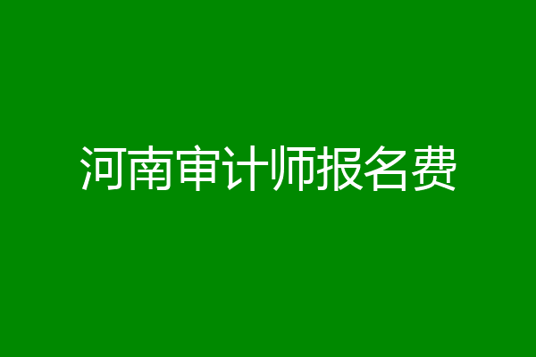 河南审计师报名费