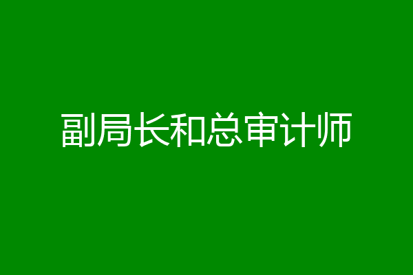 副局长和总审计师