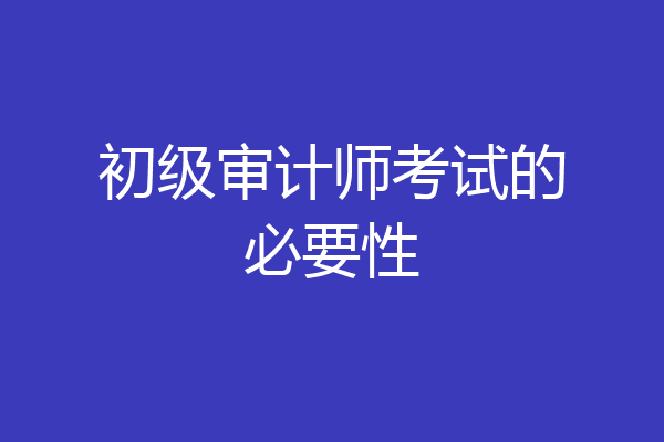 初级审计师考试的必要性