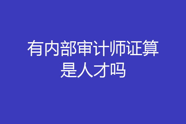 有内部审计师证算是人才吗