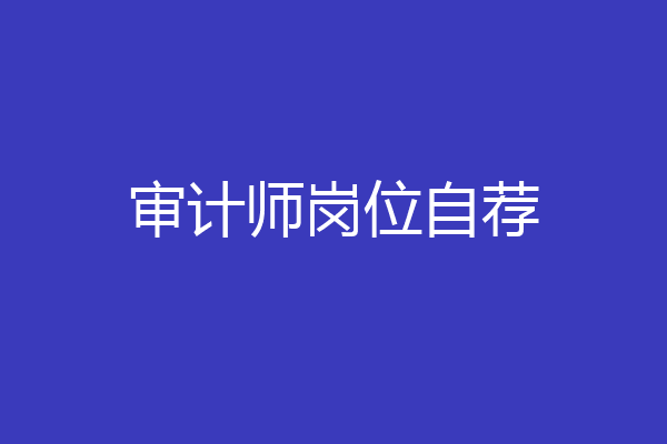 审计师岗位自荐