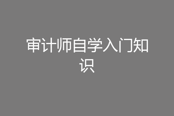 审计师自学入门知识