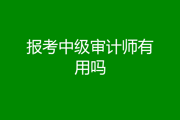 报考中级审计师有用吗