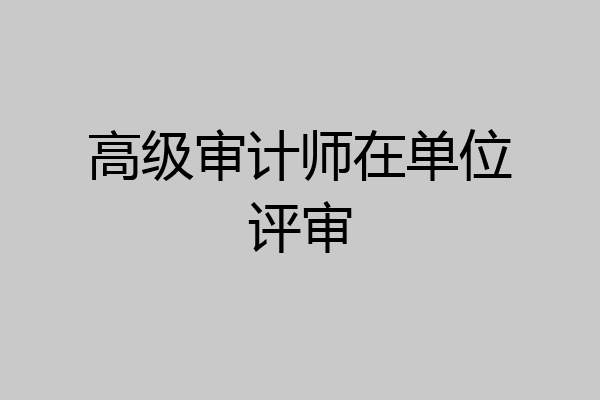 高级审计师在单位评审