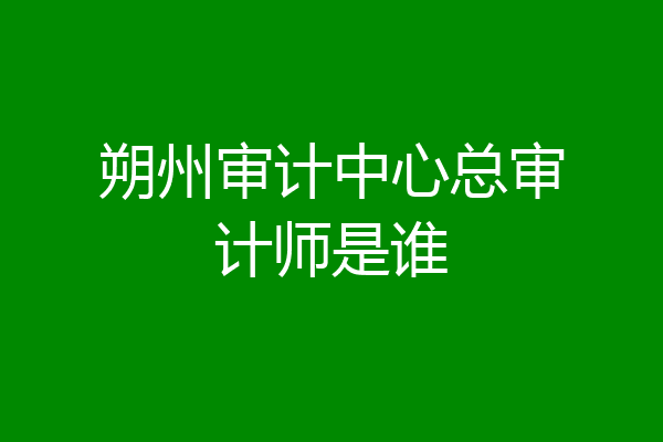 朔州审计中心总审计师是谁