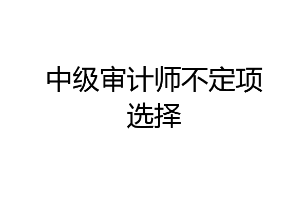 中级审计师不定项选择