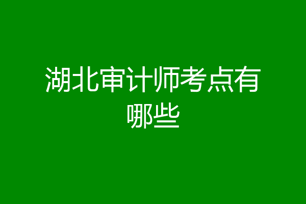 湖北审计师考点有哪些