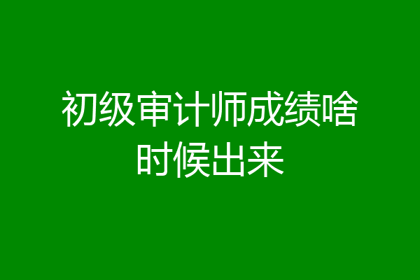初级审计师成绩啥时候出来