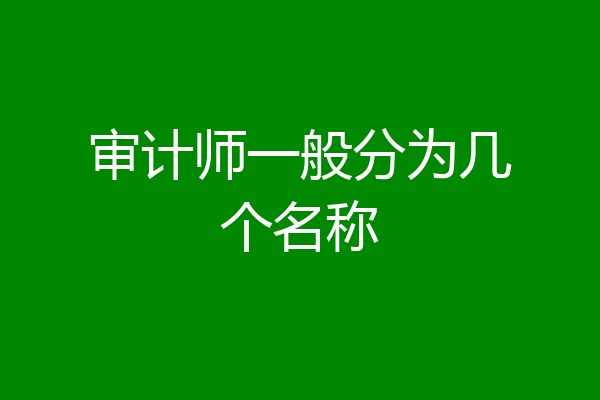 审计师一般分为几个名称