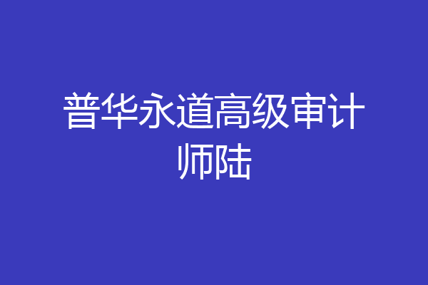 普华永道高级审计师陆