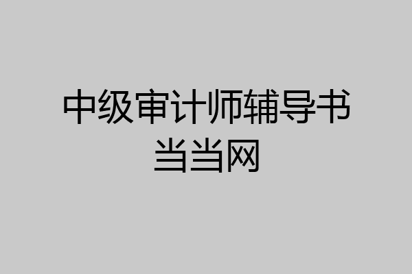 中级审计师辅导书当当网