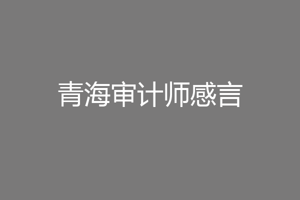 青海审计师感言
