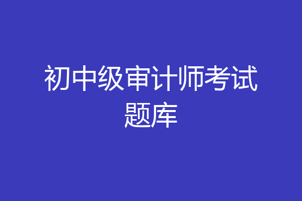 初中级审计师考试题库