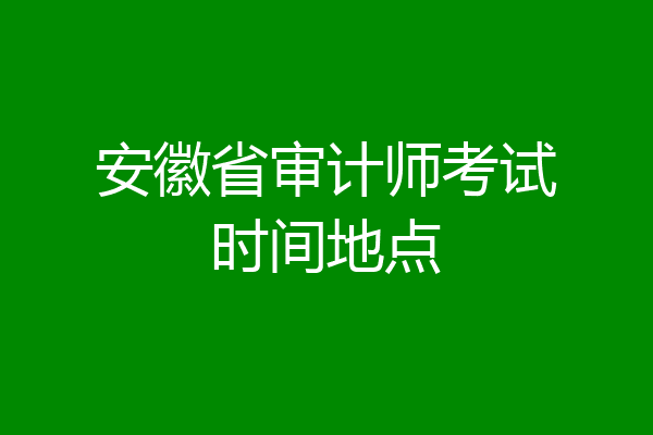 安徽省审计师考试时间地点