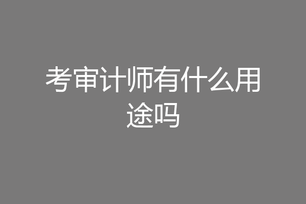 考审计师有什么用途吗