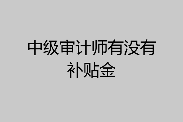 中级审计师有没有补贴金