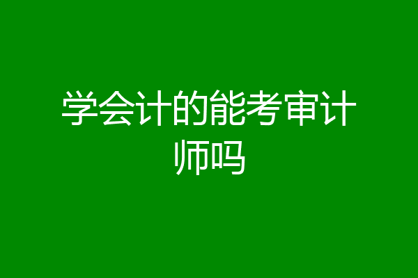 学会计的能考审计师吗