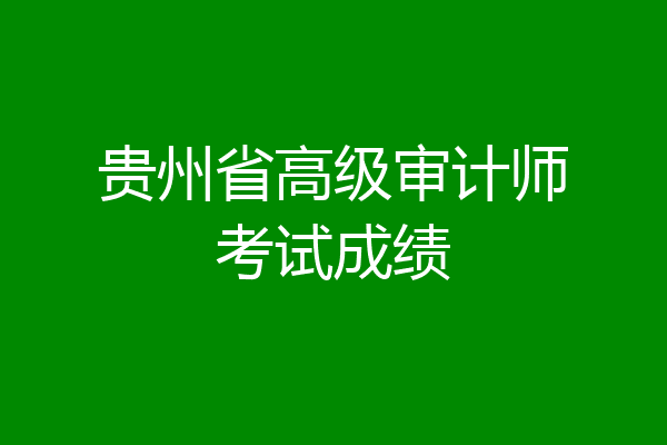 贵州省高级审计师考试成绩