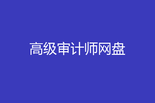 高级审计师网盘