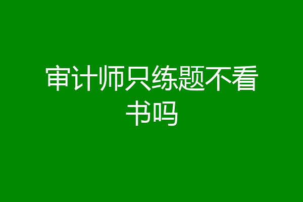 审计师只练题不看书吗