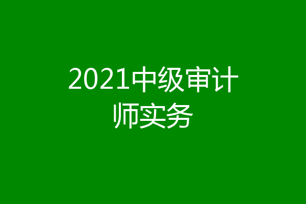 2021中级审计师实务