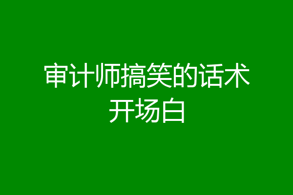 审计师搞笑的话术开场白