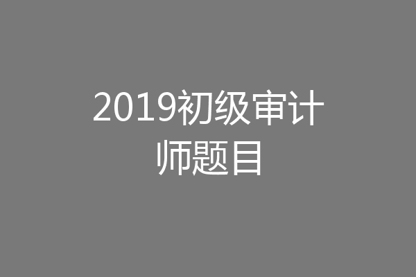 2019初级审计师题目