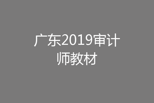 广东2019审计师教材