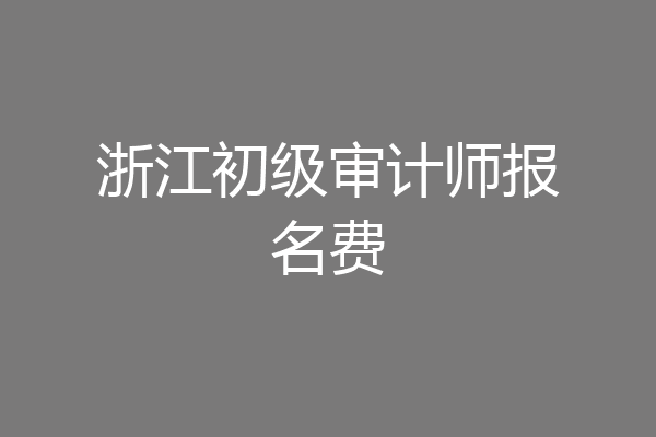 浙江初级审计师报名费