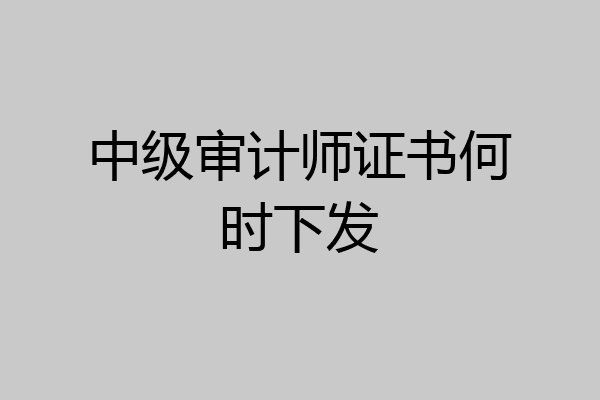 中级审计师证书何时下发