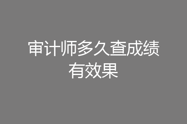 审计师多久查成绩有效果